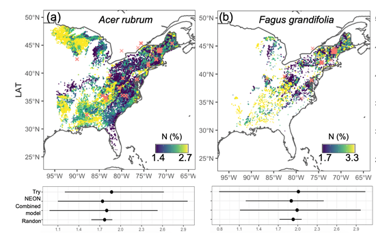 Individual tree crowns leaf traits from integrating NEON and FIA