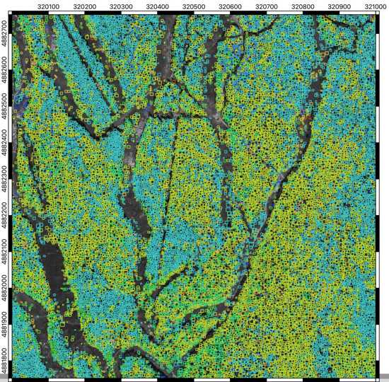 Derived inventory of tree crowns