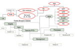 The role of respiration in estimation of net carbon cycle: coupling soil carbon dynamics and canopy turnover in a novel version of 3D-CMCC forest ecosystem model