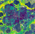 Rethinking the fundamental unit of ecological remote sensing: Estimating individual level plant traits at scale