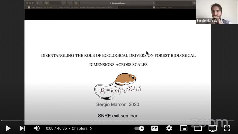 Disentangling the role of ecological drivers on forest biological dimensions