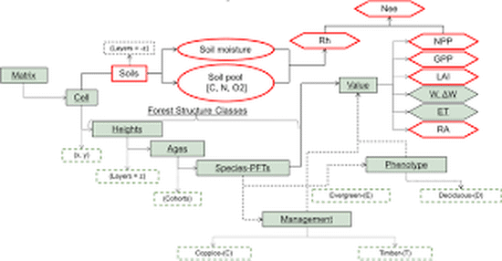 Coupled Modeling of Carbon Exchange