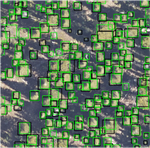 Expanding NEON biodiversity surveys with new instrumentation and machine learning approaches
