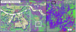 Disentangling the roles of inter and intraspecific variation on leaf trait distributions across the eastern United States