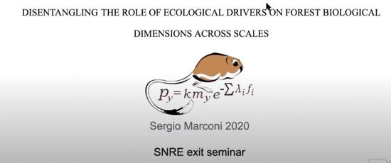 Disentangling the role of ecological drivers on forest biological dimensions