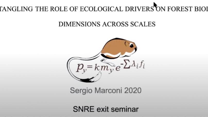 Disentangling the role of ecological drivers on forest biological dimensions